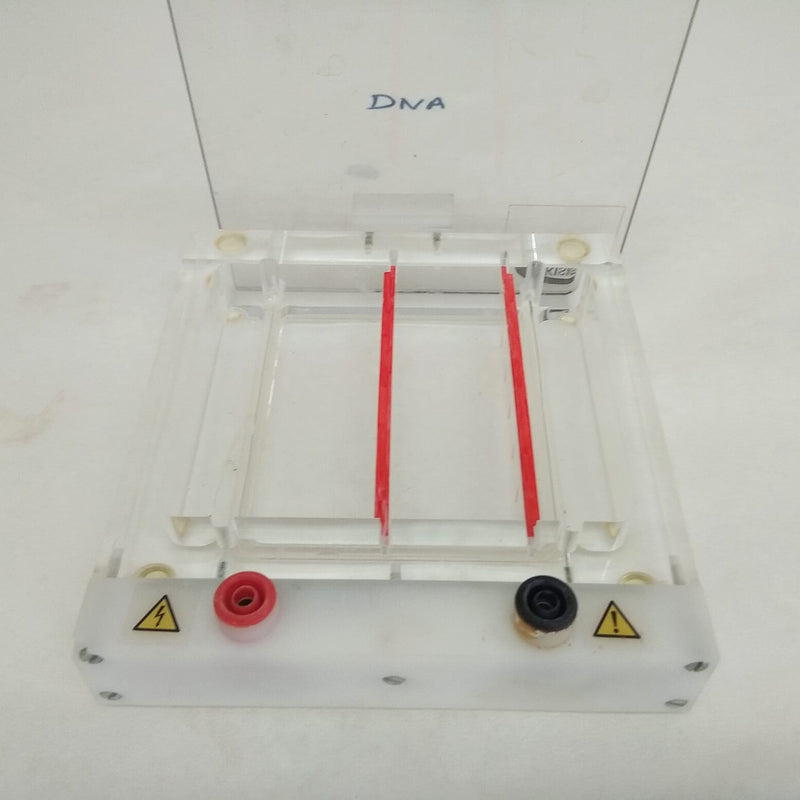 Agarose Electrophoresis Tank and Casting