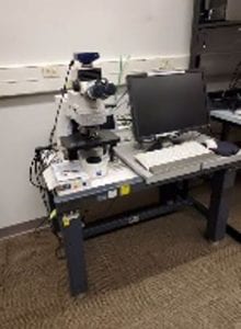Buy Zeiss-Imager M 2 m-High Mag Microscope-55995