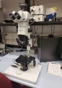 Olympus-SZX 10-Low Mag Stereozoom Microscope-55993 For Sale