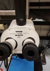 Wild-Makroskop M 420-Low Mag Microscope-55994 For Sale