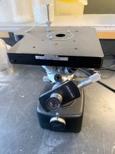 Buy Unitron--Microscope-56343