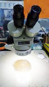 Buy Meiji Microscope 57331