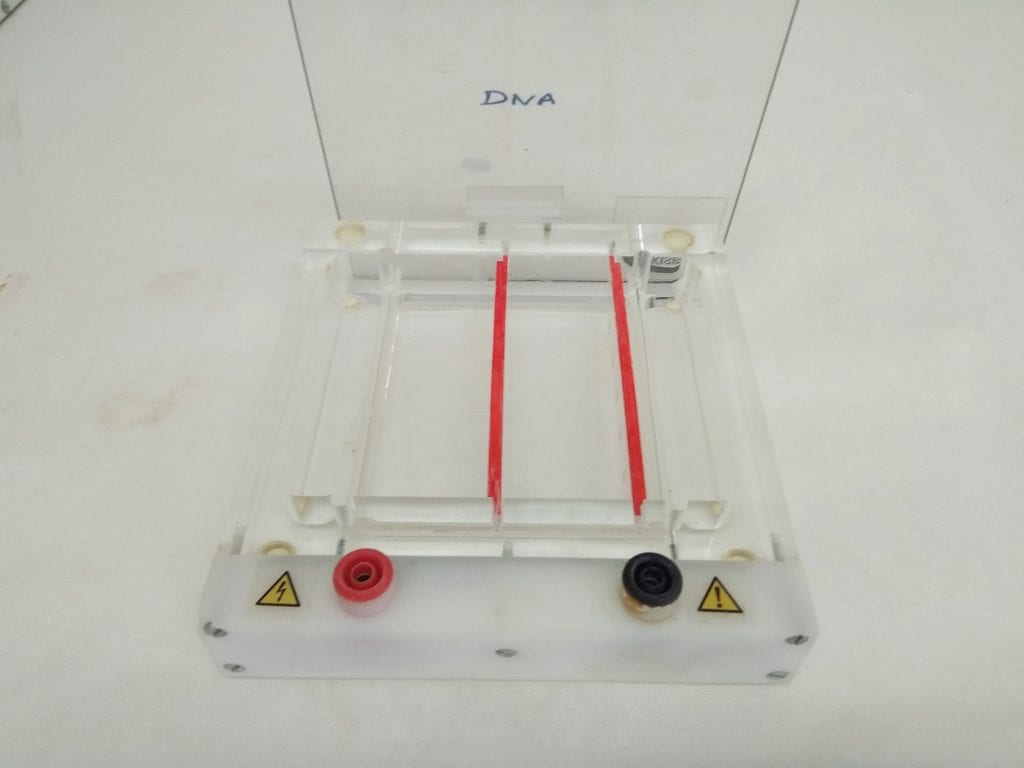 Agarose Electrophoresis Tank and Casting 60240 For Sale