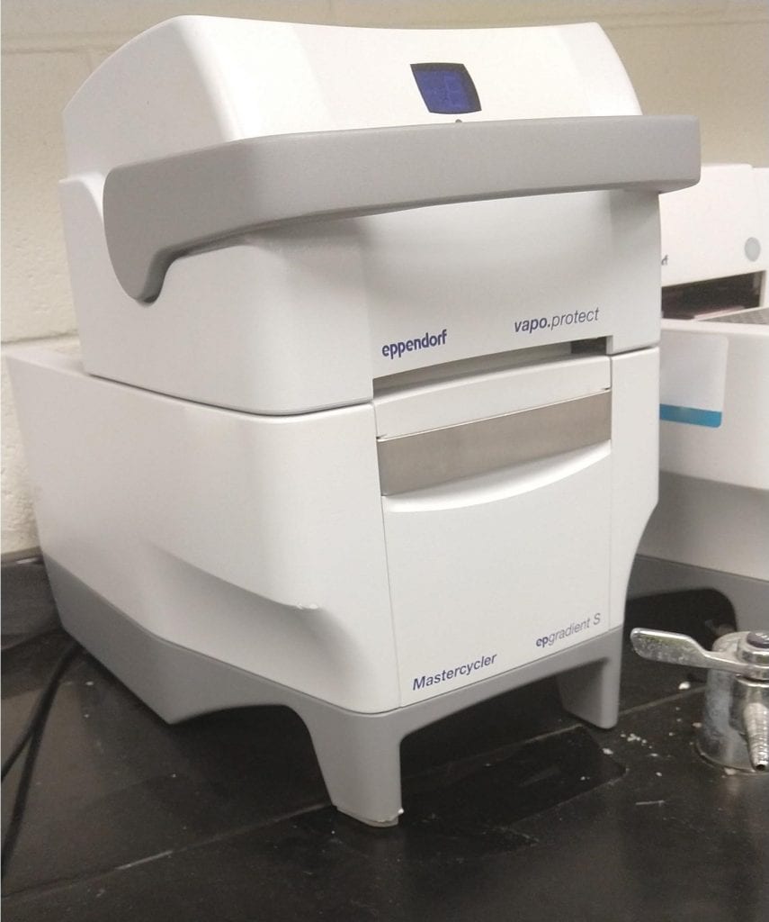 Eppendorf 6321 Mastercycler PCR Machine 60724 For Sale