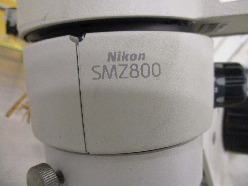 Nikon  SMZ 800 & ACC  Microscope  68584 For Sale