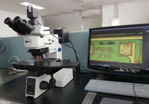 Olympus  MX 51 F  Microscope  79118 For Sale Online