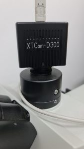 Buy Olympus  MX 51 F  Microscope  79118 Online